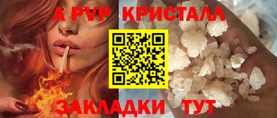спиды Новодвинск