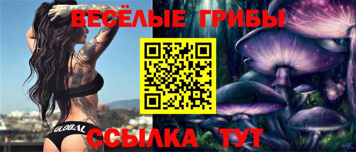 Псилоцибиновые грибы MAGIC MUSHROOMS  Вход с VPN  Псилоцибиновые грибы GOLDEN TEACHER  хочу   Хабаровск 